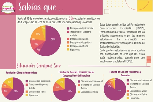 Estudiantes_con_discapacidad_en_la_Universidad_y_Campus_Sur_page-0001.jpg