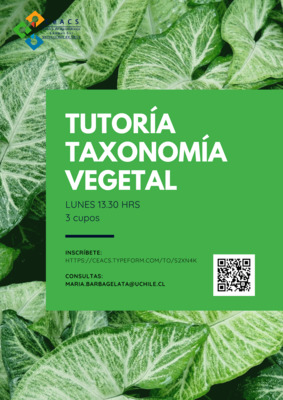 Tutoria_Taxonomia.png