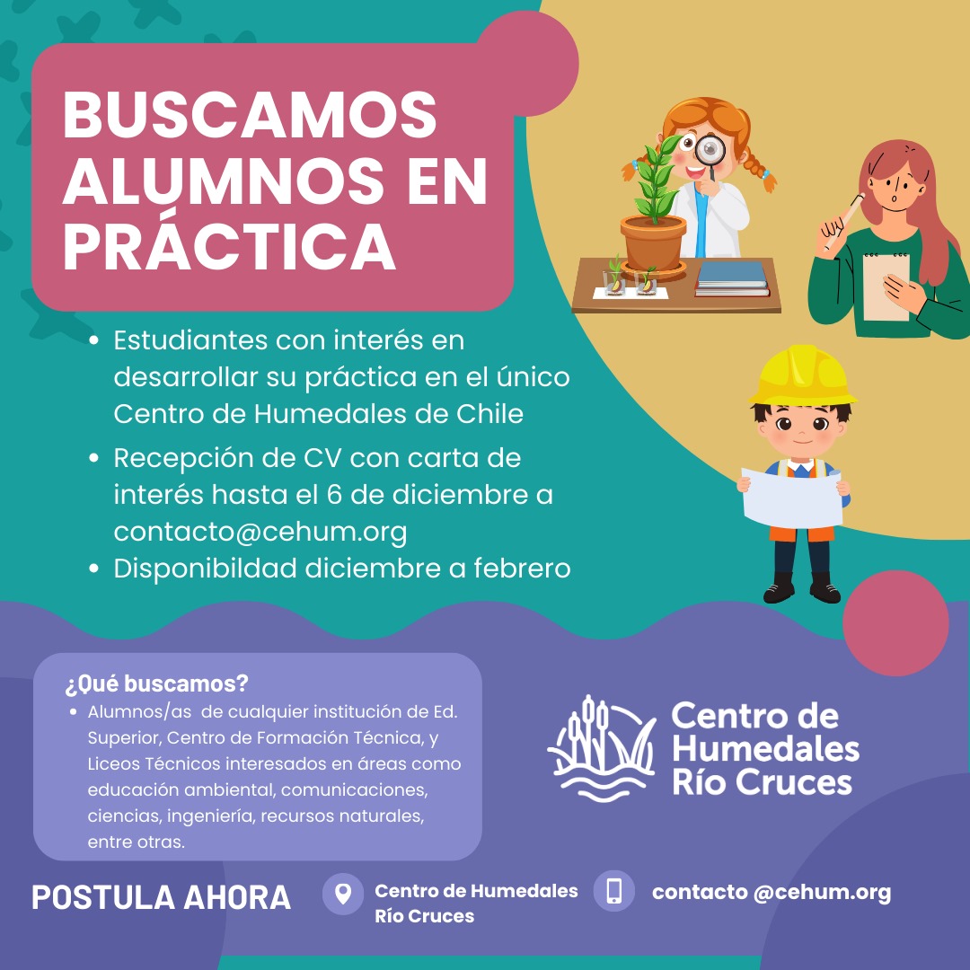 WhatsApp_Image_2024-11-05_at_11.40.55_AM.jpeg