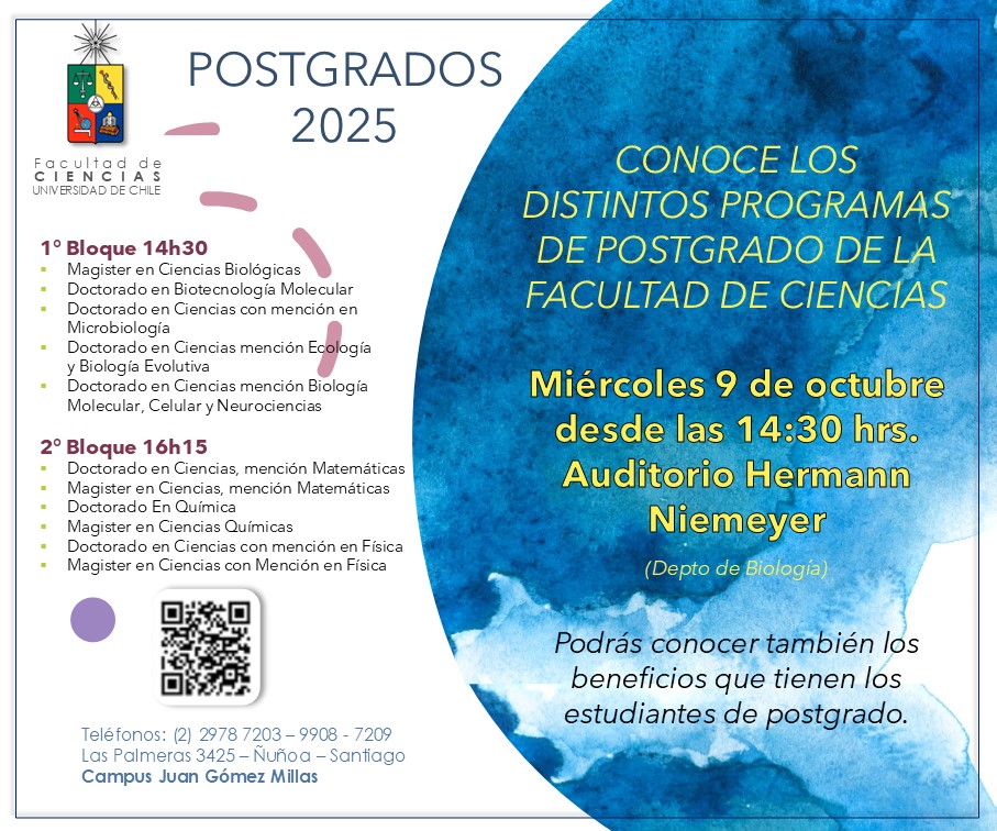 AFICHE_4.jpg