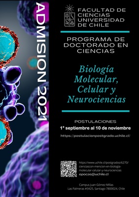 Afiche_Programa_Doctorado_(2).jpg