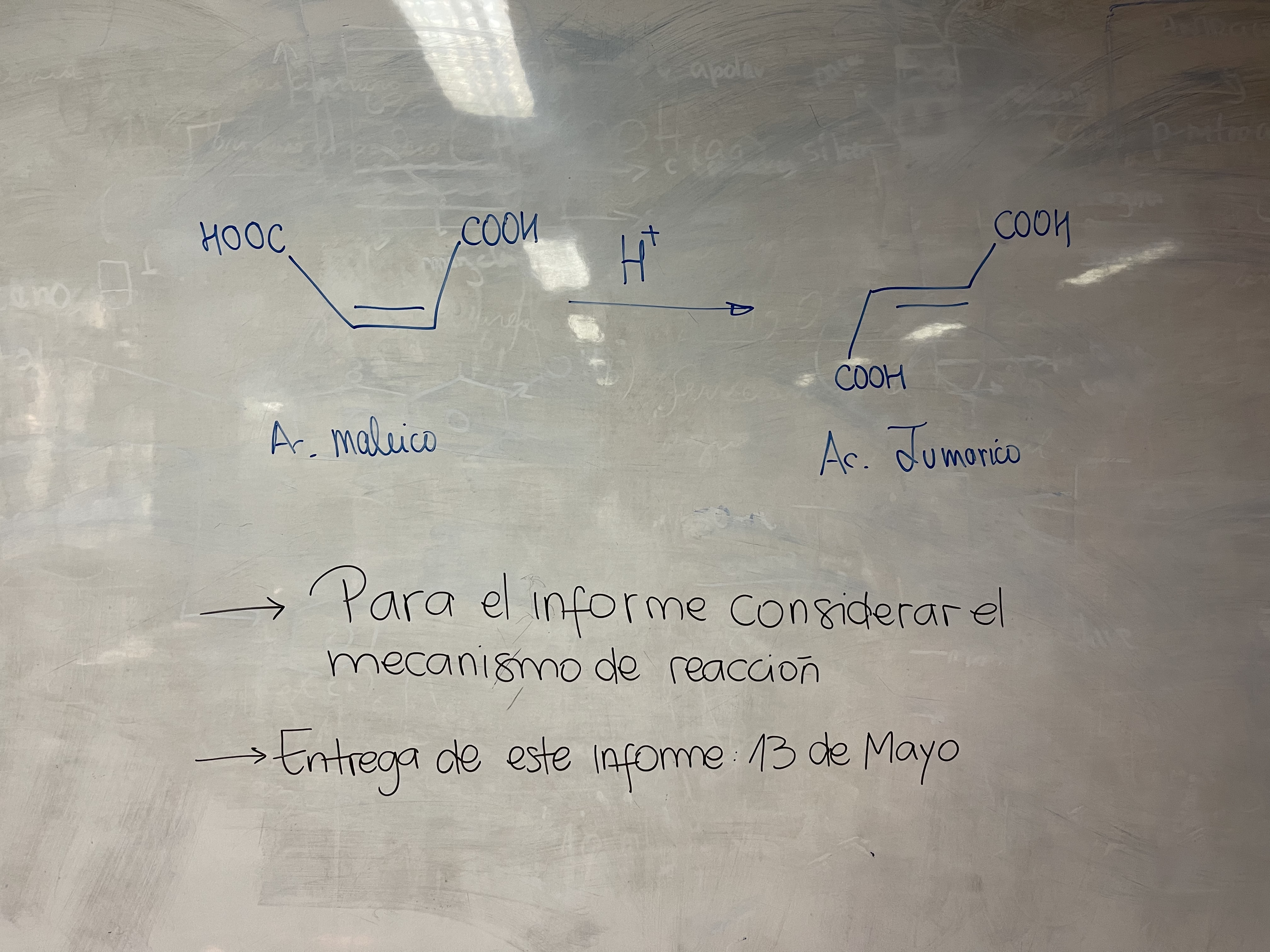 51B1DB43-73F1-468F-AE57-6BFB15E38358.jpeg