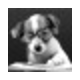 url