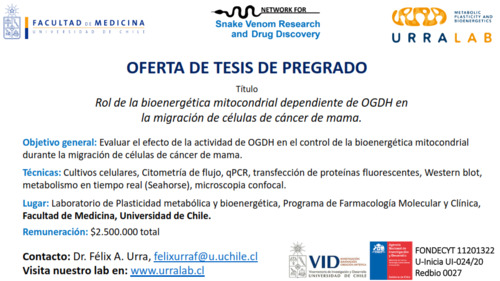Anuncio_de_tesis_pregrado_001.png