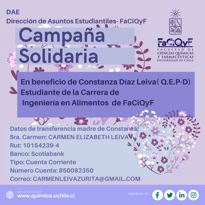 CampaA_a_Solidaria_Contanza_Diaz_Leiva.png