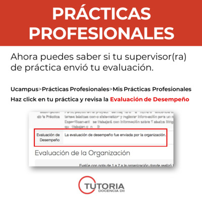 Evaluacion_de_DesempeA_o.png