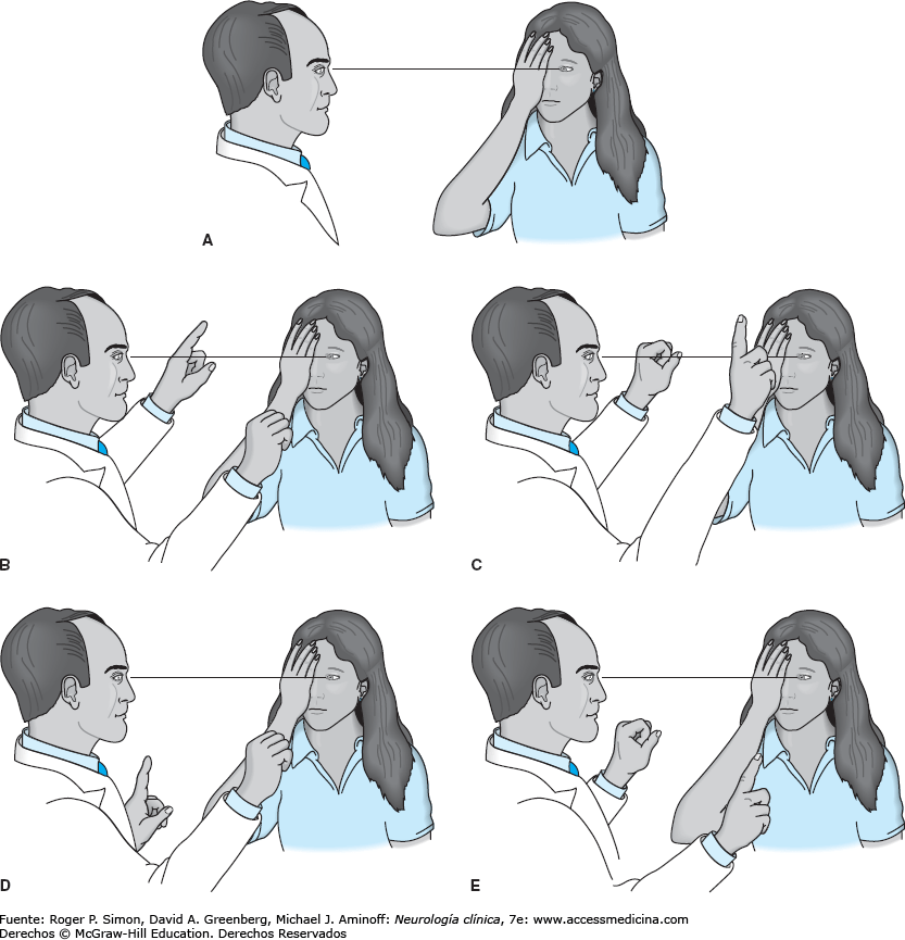 simon_c04_fig-ch04-09_(1).webp
