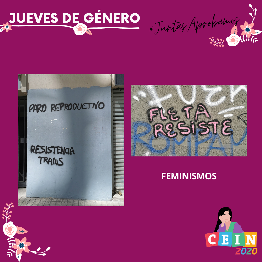 1_Genero(7).png