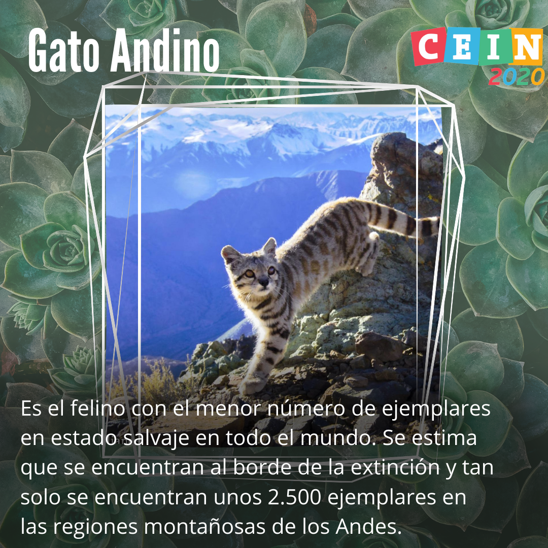 1_sustentable(3).png
