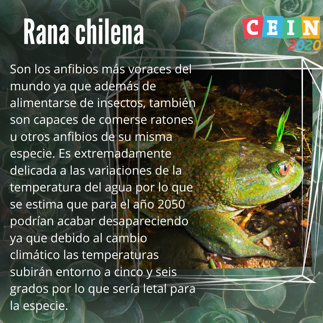 1_sustentable(6).png