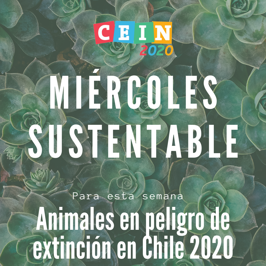 3_sustentable(1).png