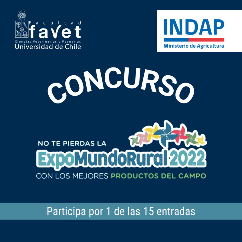 Concurso_Expo.png