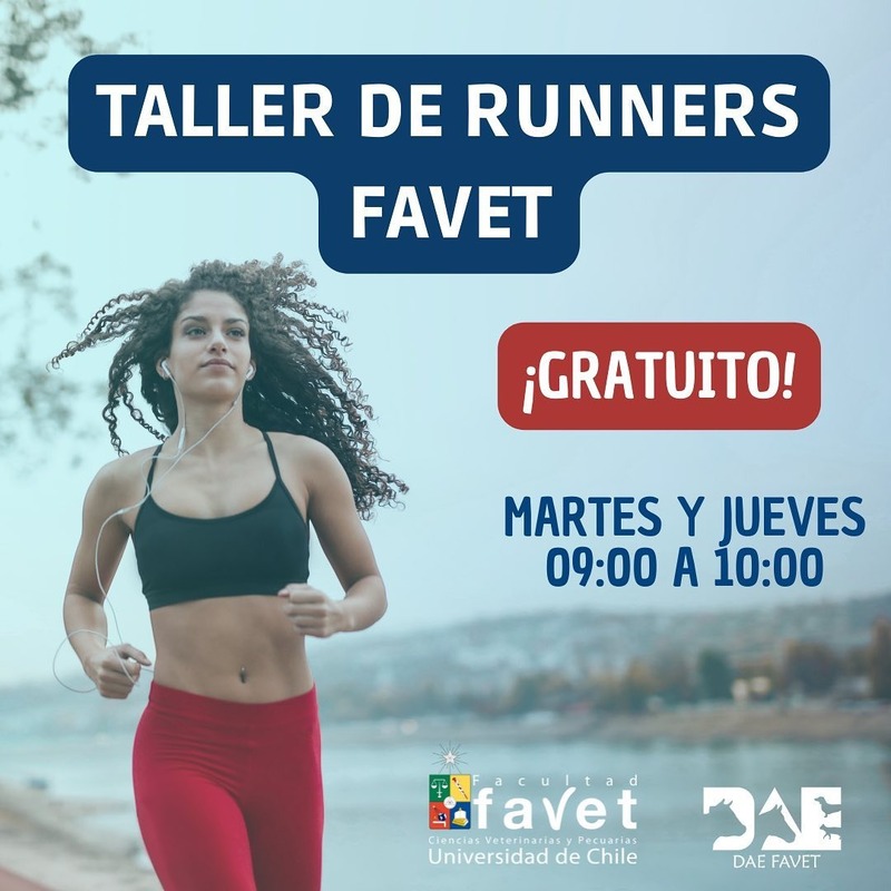 Taller_Runners.jpeg