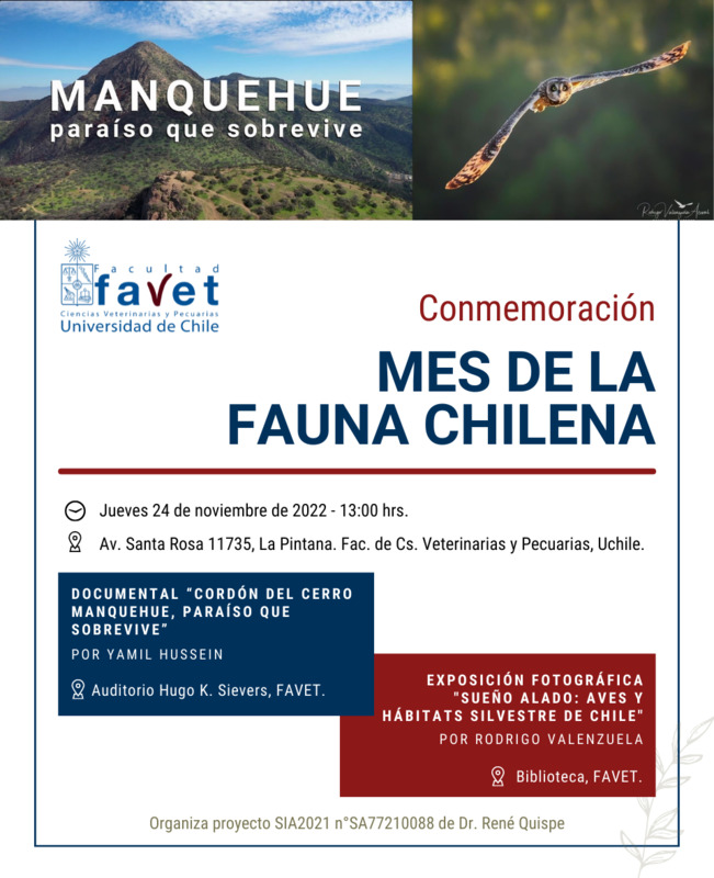 Fauna_Chilena_u-cursos.png